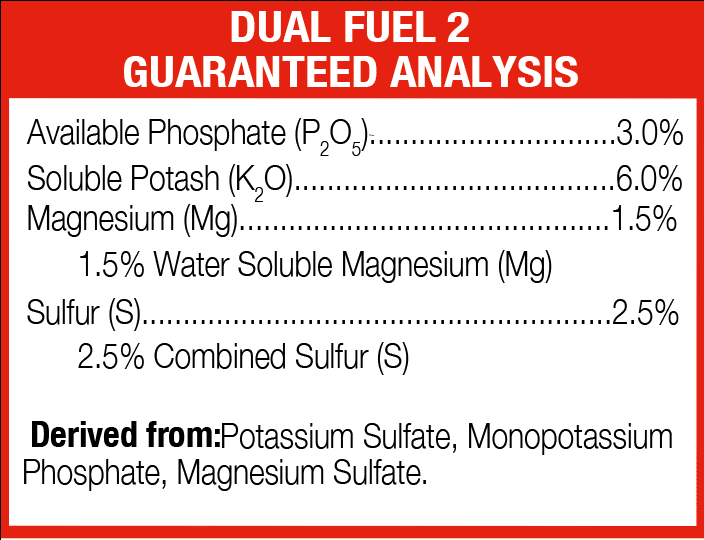 Guarunteed Analysis Dual Fuel 2